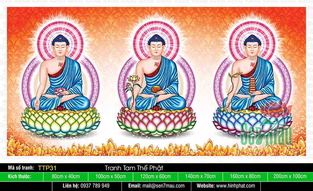 Hình Tam Thế Nhất Thiết Chư Phật TTP31