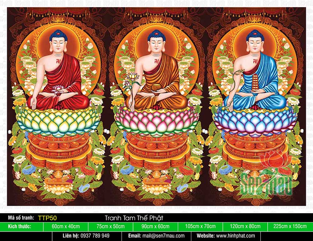 Hình Tam Thế Nhất Thiết Chư Phật TTP50