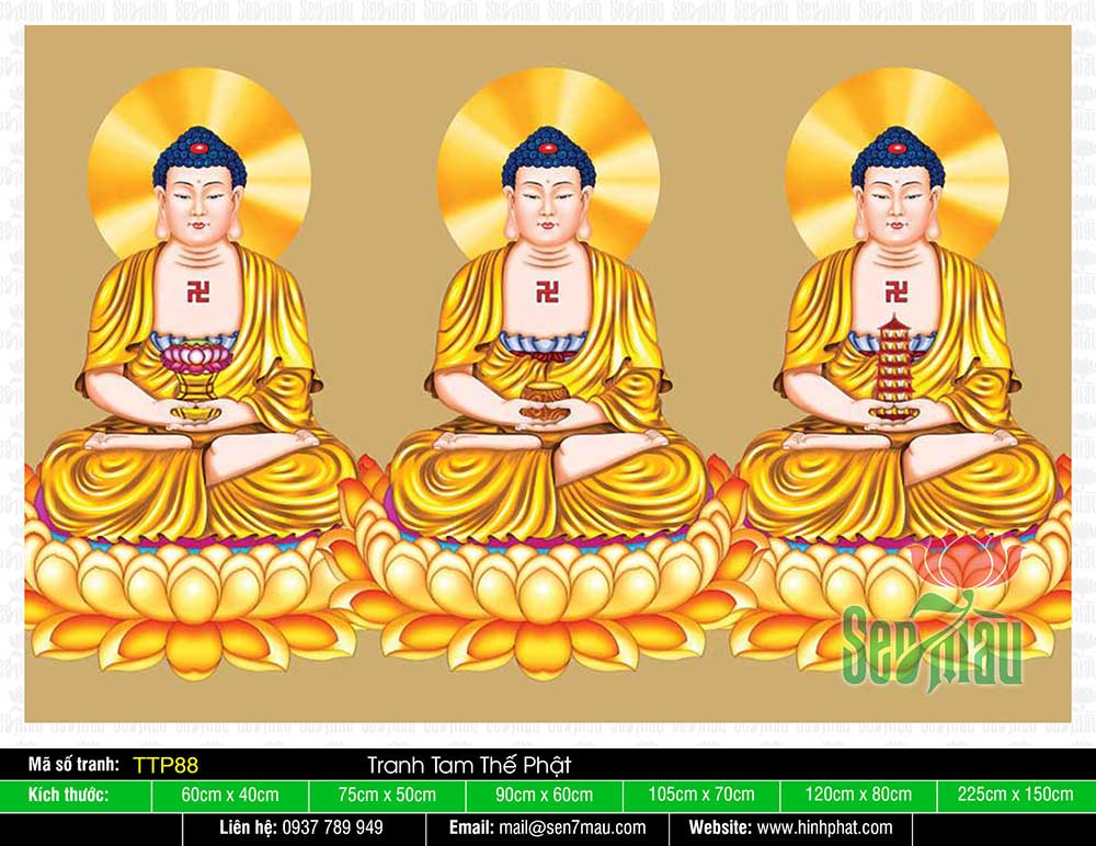 Hình Tam Thế Nhất Thiết Chư Phật TTP88