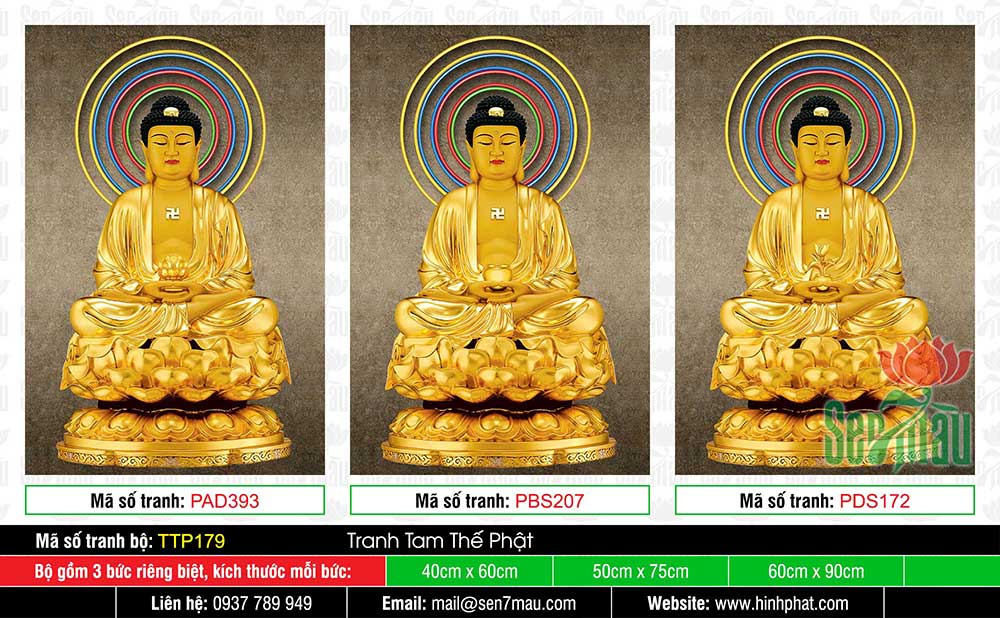 Hình Tam Thế Phật đẹp TTP179