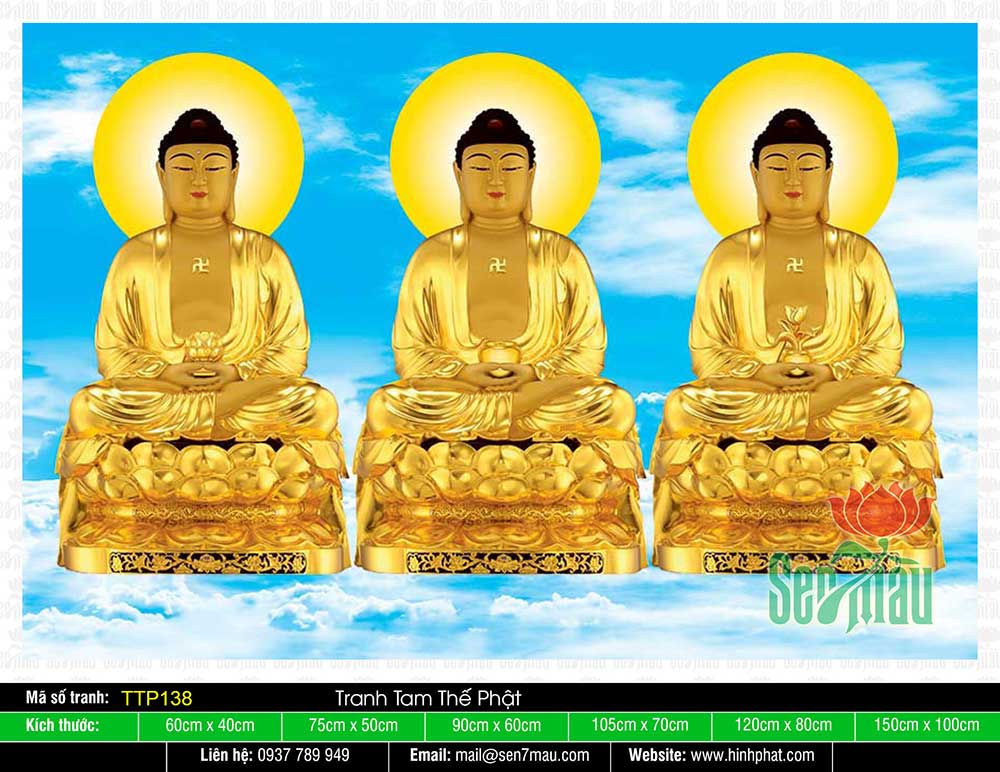 Tam Thế Phật - Size Lớn TTP138