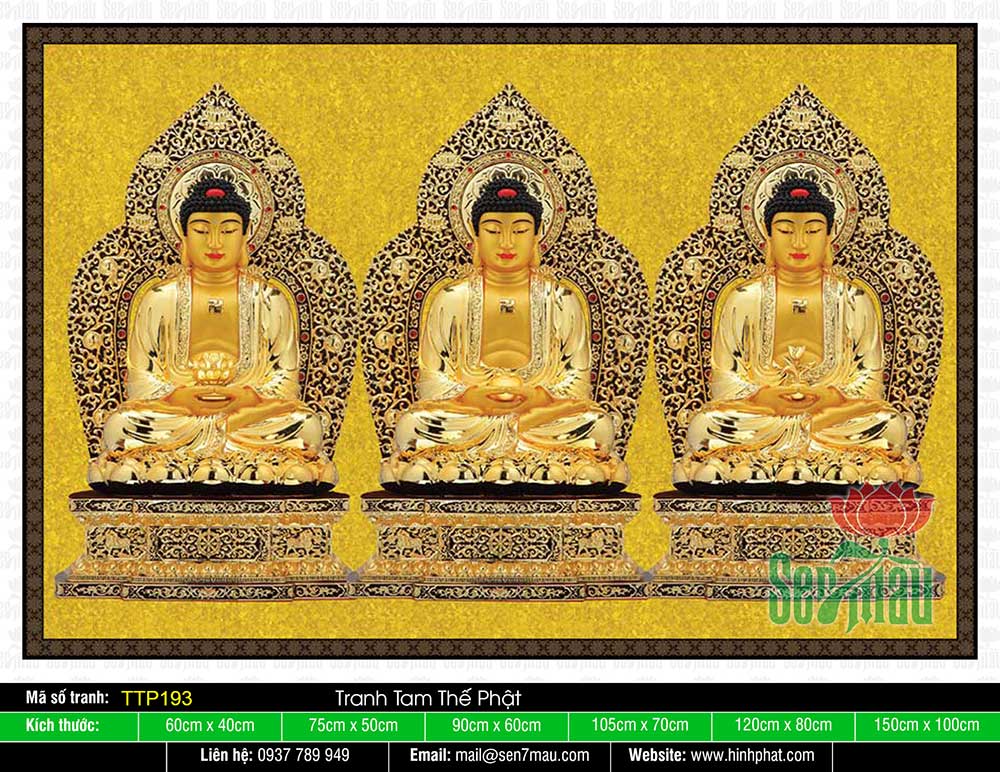 Tam Thế Phật đẹp nhất TTP193
