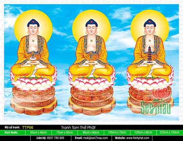 Tam Thế Nhất Thiết Chư Phật TTP06