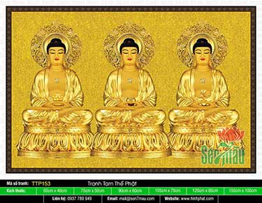 Tam Thế Phật TTP153