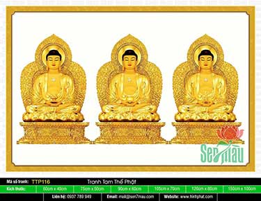 Tam Thế Phật đẹp TTP116