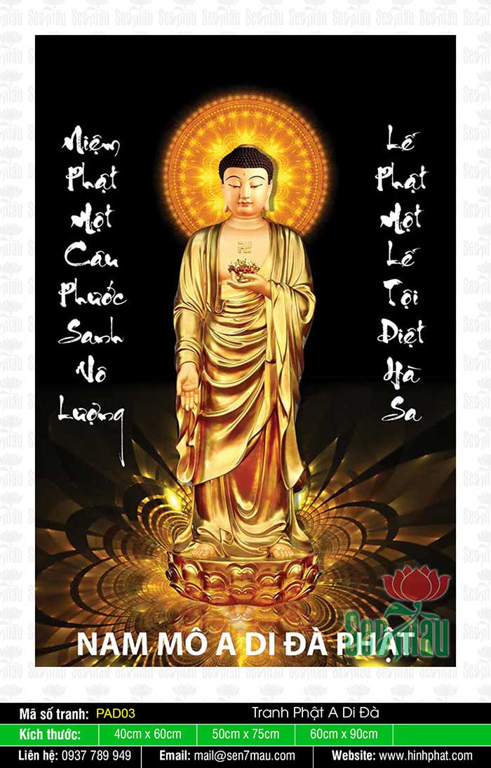 Ảnh Đức Phật A Di Đà - PAD03
