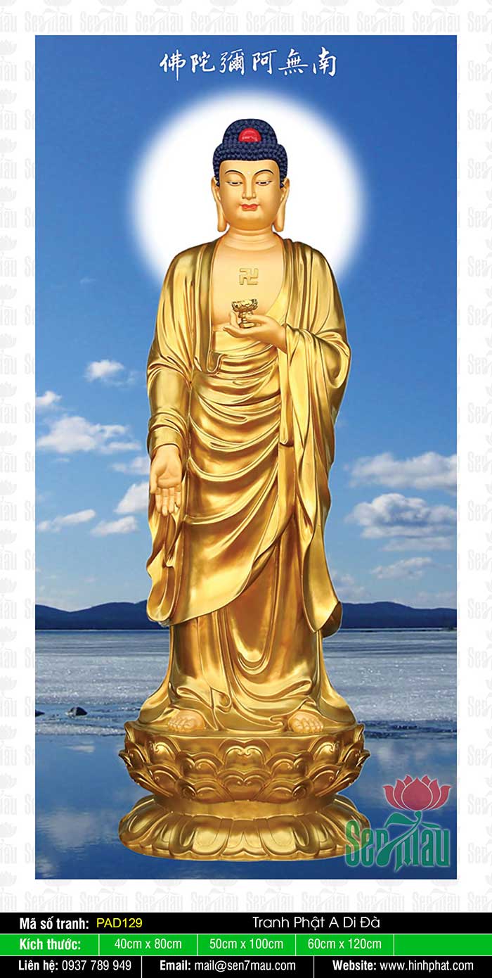 Ảnh Đức Phật A Di Đà - PAD129
