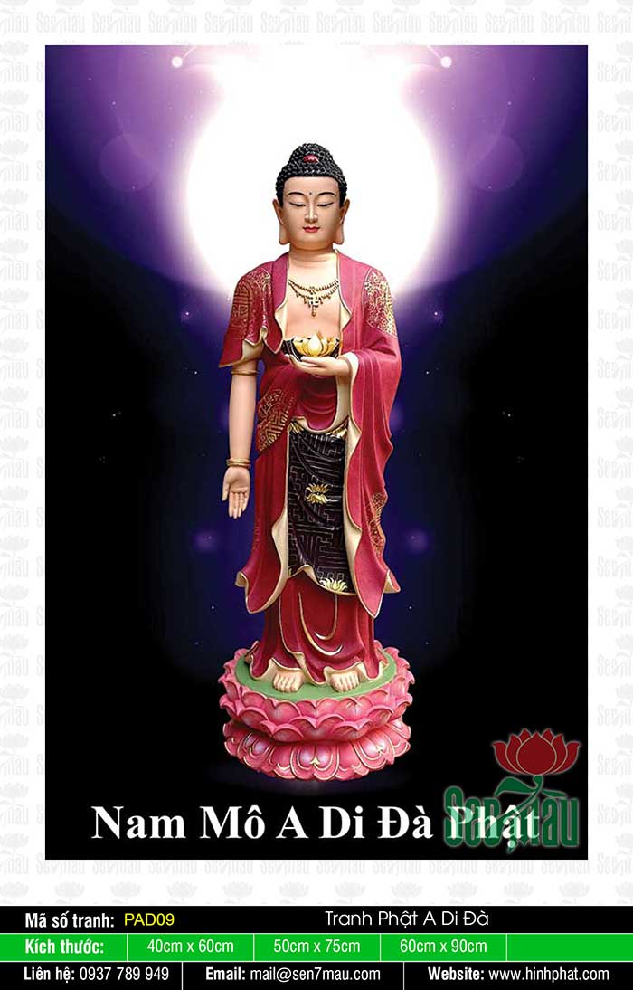 Bộ Sưu Tập Hình Ảnh Tuyệt Đẹp Về Đức Phật A Di Đà - PAD09