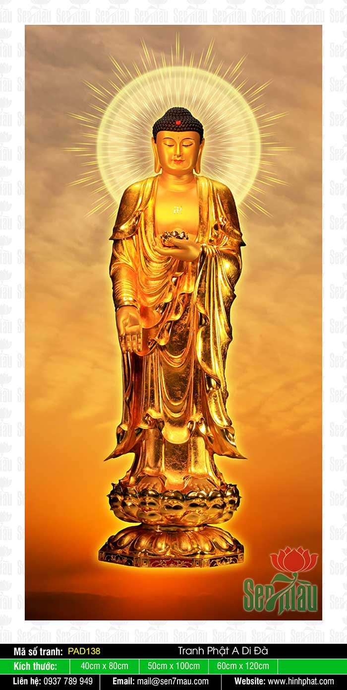 Đức Phật A Di Đà - PAD138