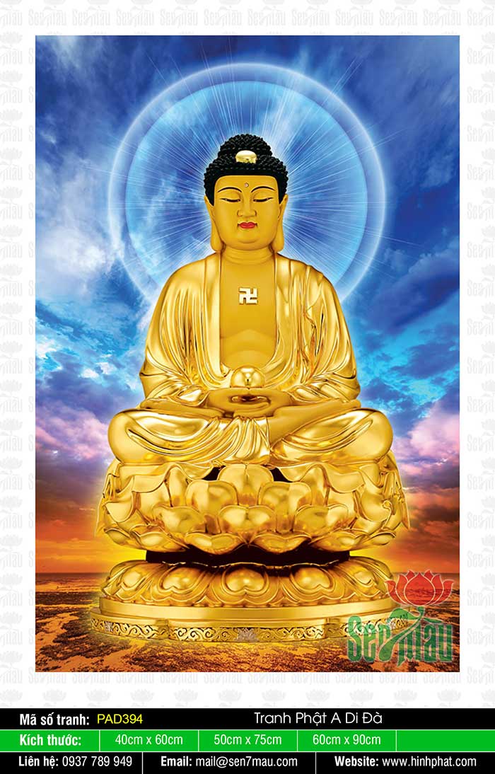 Hình A Di Đà Phật Đẹp Nhất PAD394
