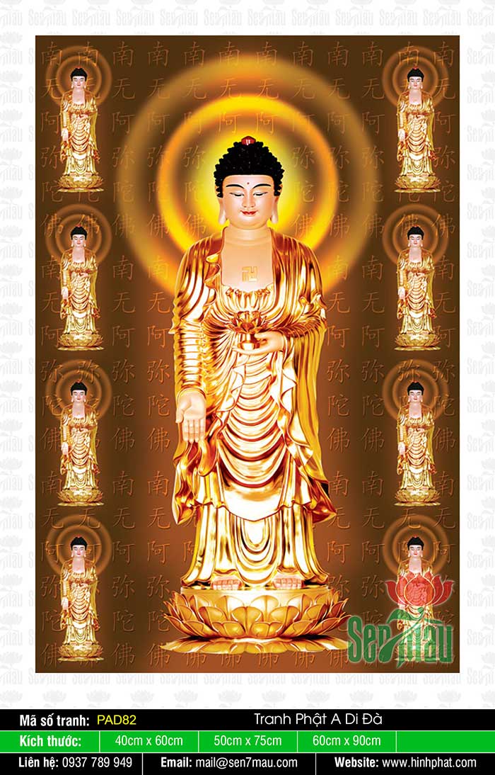 Hình Ảnh Đức Phật A Di Đà Đẹp Nhất - PAD82