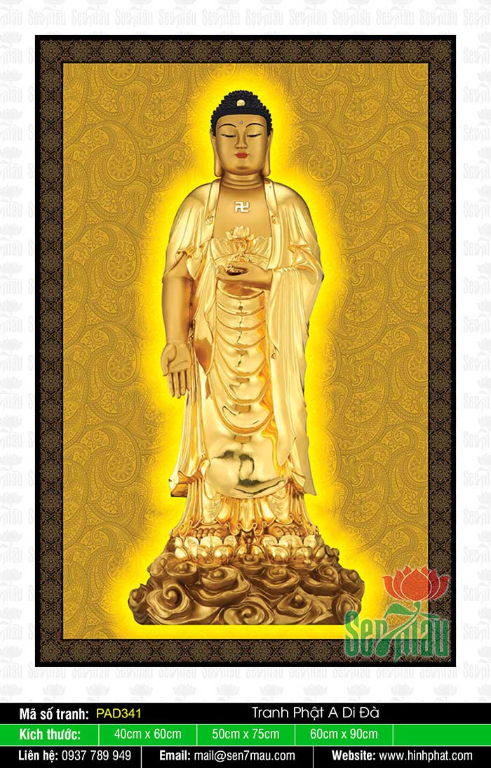 Hình Ảnh Phật A Di Đà Đẹp Nhất  PAD341