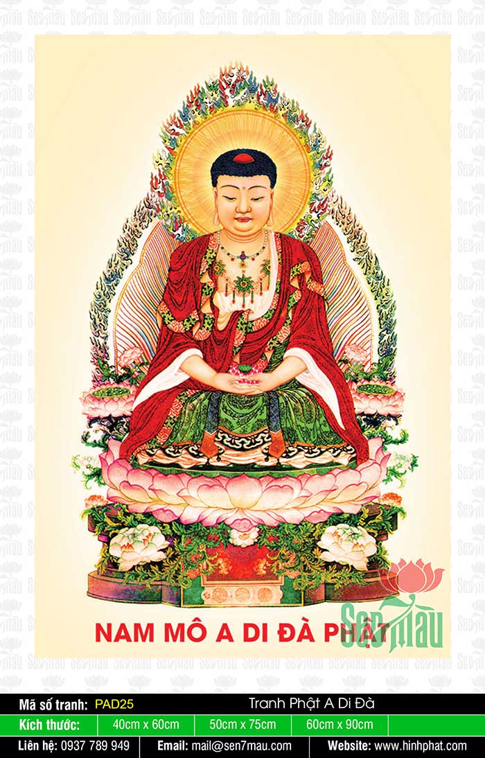 Hình Ảnh Phật A Di Đà Đẹp - PAD25