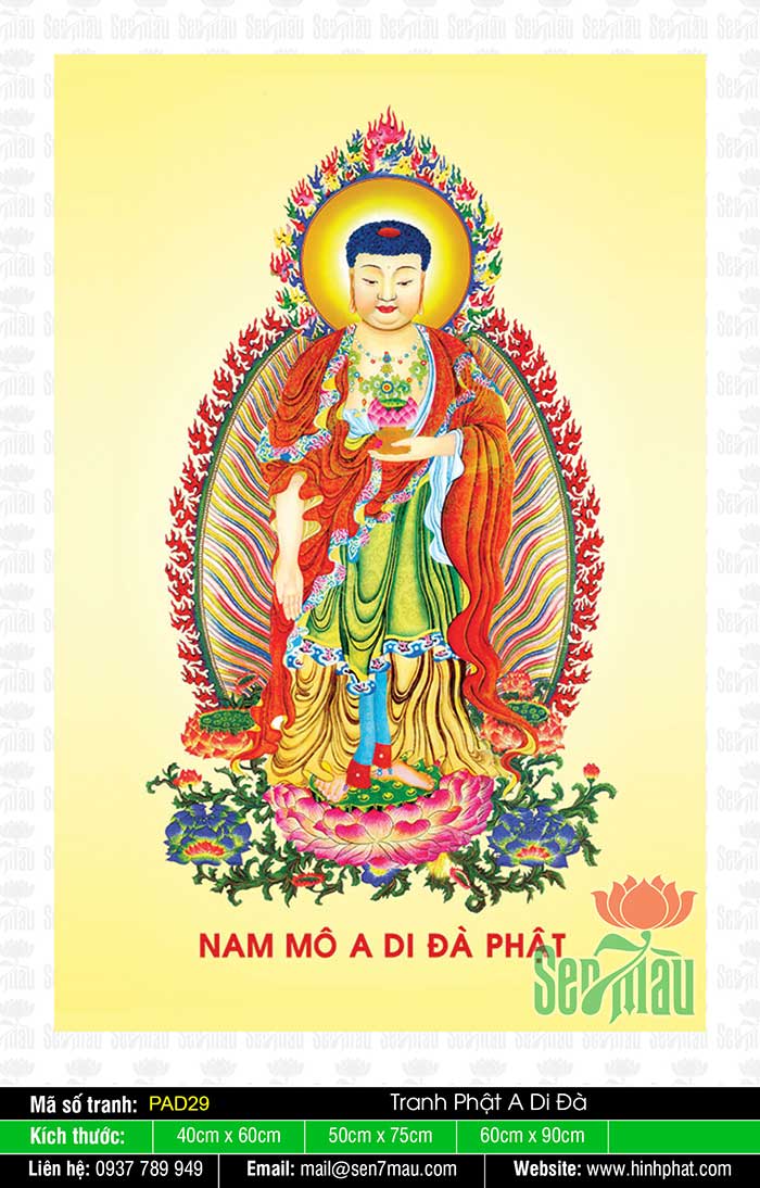 Hình Đức Phật A Di Đà - PAD29