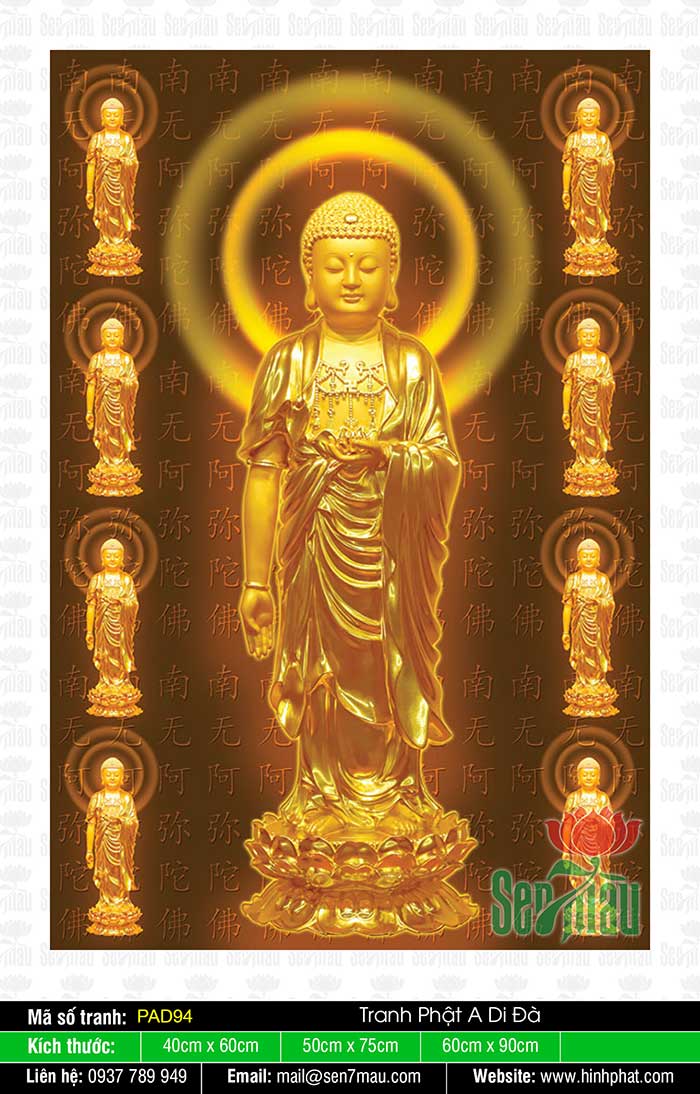 Hình Đức Phật A Di Đà Đẹp Nhất - PAD93