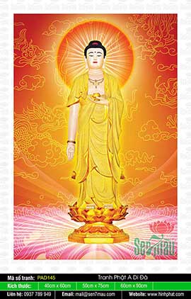 Hình Ảnh Đức Phật A Di Đà Đẹp Nhất - PAD145