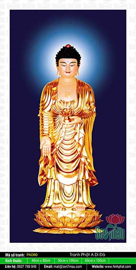 Hình Ảnh Đức Phật A Di Đà - PAD80
