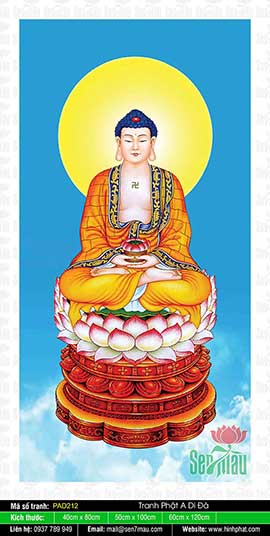 Hình Ảnh Phật A Di Đà - Hình Phật Đẹp PAD212