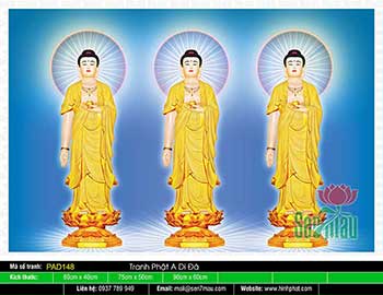 Hình Ảnh Phật A Di Đà - PAD148