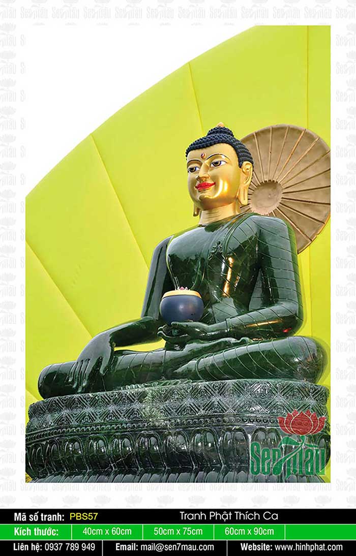 Bổn Sư Thích Ca Mâu Ni Phật - PBS57