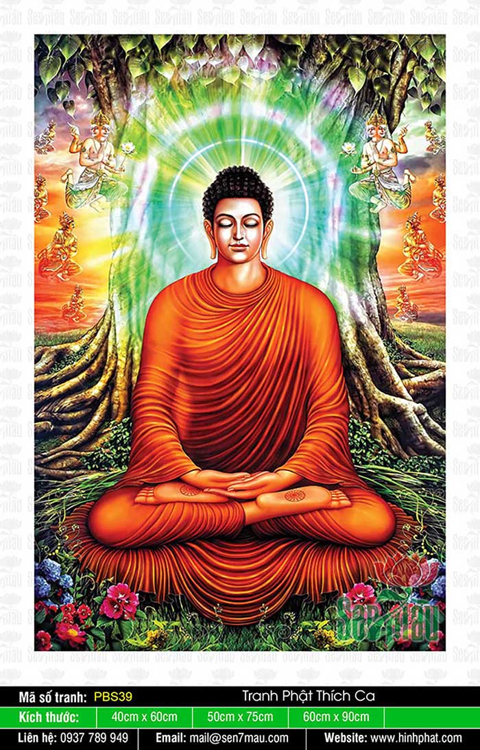 Đức Phật Thích Ca Mâu Ni - PBS39