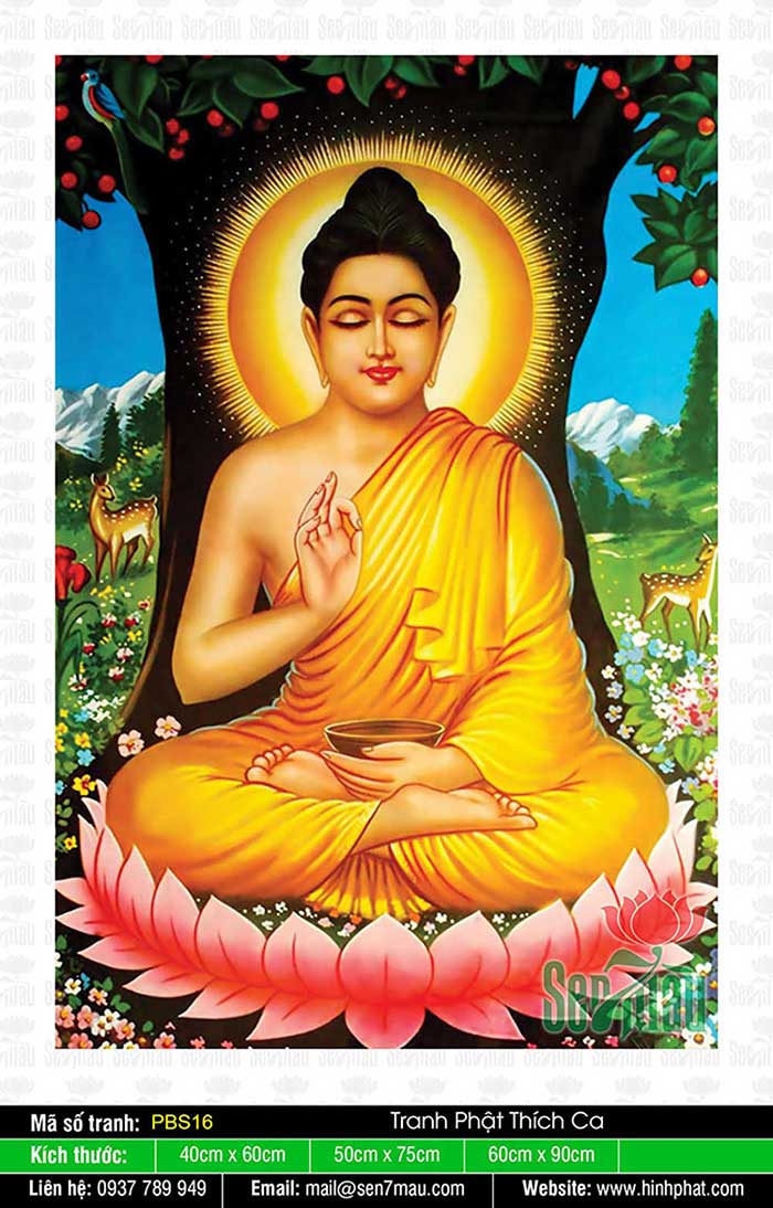 Đức Phật Thích Ca - PBS16