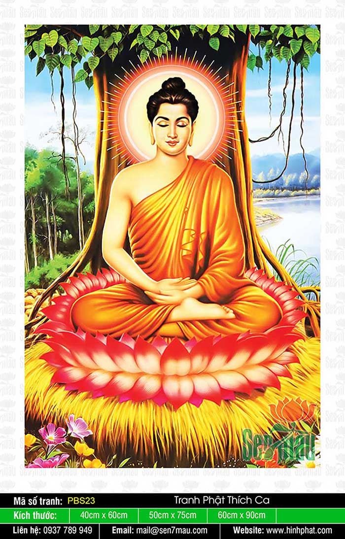 Hình Phật Thích Ca Khổ Lớn - PBS23