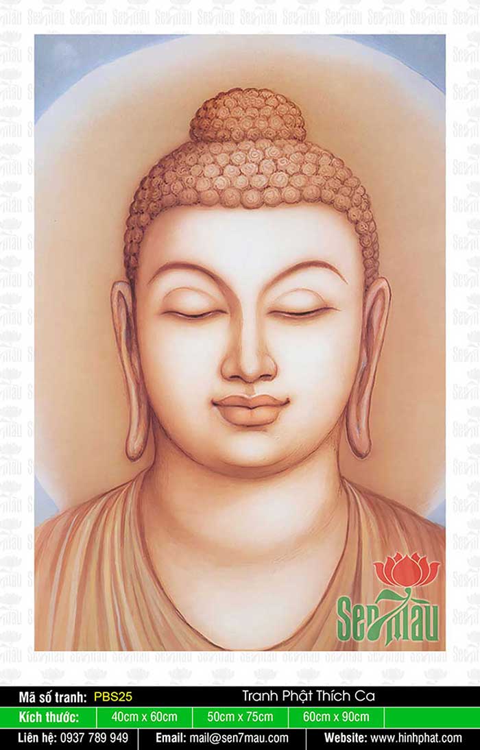 Hình Phật Thích Ca Mâu Ni Đẹp - PBS25