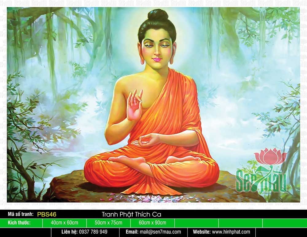 Hình Phật Thích Ca Mâu Ni Đẹp - PBS46