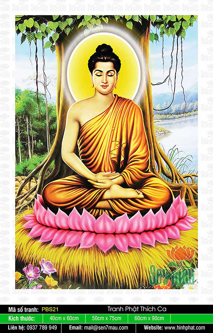 Hình Phật Thích Ca - PBS21