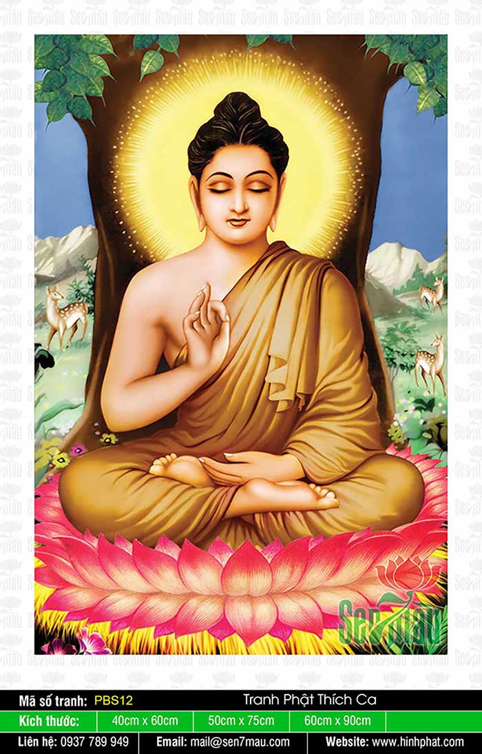 Phật Thích Ca - PBS12