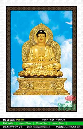 Đức Phật Thích Ca Mâu Ni Đẹp PBS187