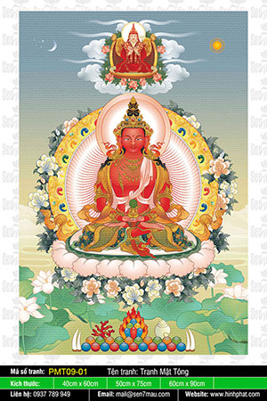 Phật Vô Lượng Thọ PMT09-01