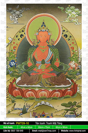 Phật Vô Lượng Thọ PMT09-10