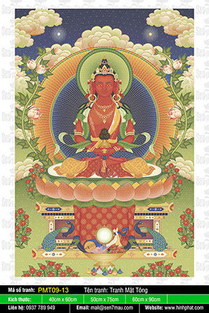 Phật Vô Lượng Thọ PMT09-13