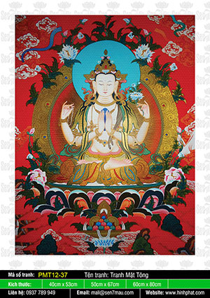 Avalokiteshvara PMT12-37
