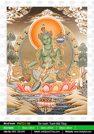 Lục Độ Phật Mẫu Tara PMT21-09