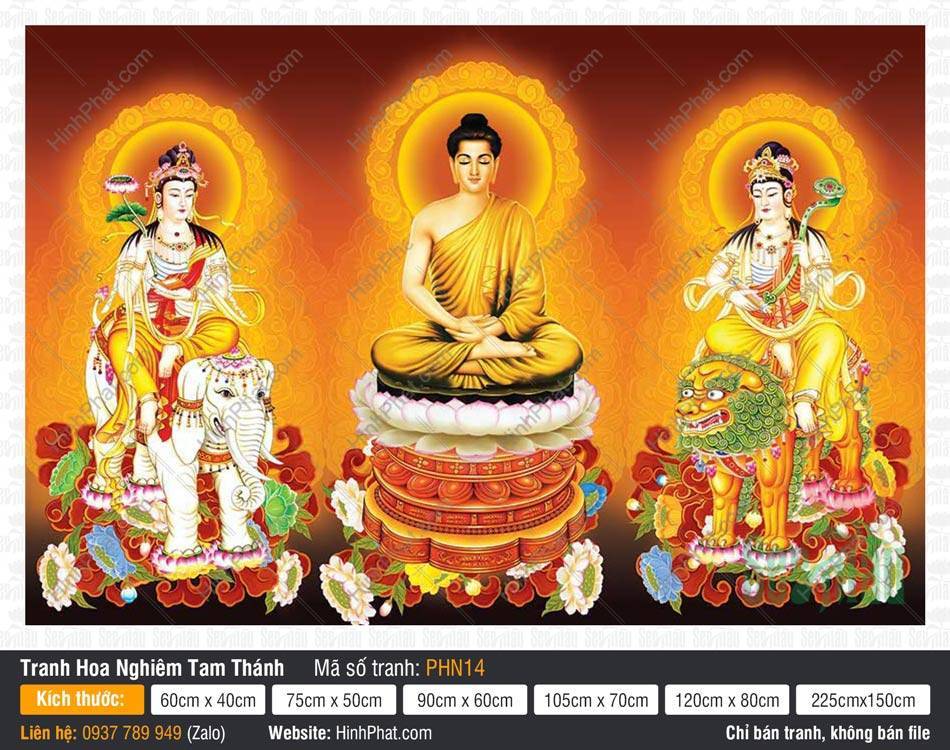 Hình Hoa Nghiêm Tam Thánh PHN14 Hình Hoa Nghiêm Tam Thánh PHN14 phối cảnh nền đỏ cam rực rỡ