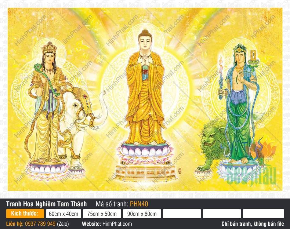 Hình Hoa Nghiêm Tam Thánh PHN40 Hình Hoa Nghiêm Tam Thánh PHN40 với tư thế đứng trên đài sen nền vàng