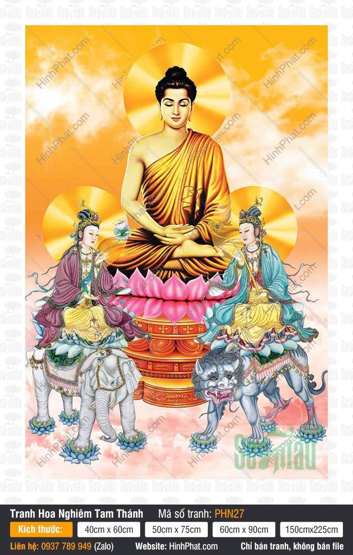 Hình Hoa Nghiêm Tam Thánh đẹp PHN27 Hình Hoa Nghiêm Tam Thánh đẹp PHN27 ngự đài sen hồng trên nền mây trời sắc vàng
