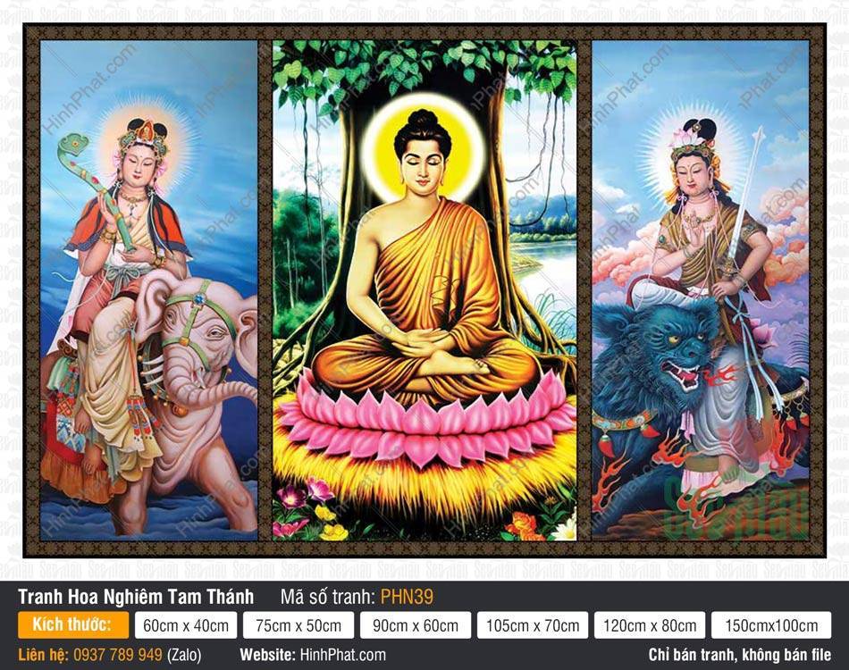 Hình Hoa Nghiêm Tam Thánh đẹp PHN39 Hình Hoa Nghiêm Tam Thánh đẹp PHN39 bố cục ba tấm dưới cội Bồ Đề