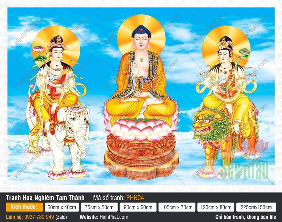 Hình Hoa Nghiêm Tam Thánh đẹp nhất PHN04 Hình Hoa Nghiêm Tam Thánh đẹp nhất PHN04 nền trời xanh mây trắng
