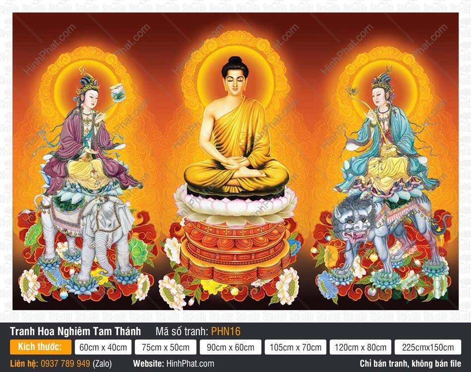 Hình Hoa Nghiêm Tam Thánh đẹp nhất PHN16 Hình Hoa Nghiêm Tam Thánh đẹp nhất PHN16 rực rỡ nền sắc vàng cam ấm áp