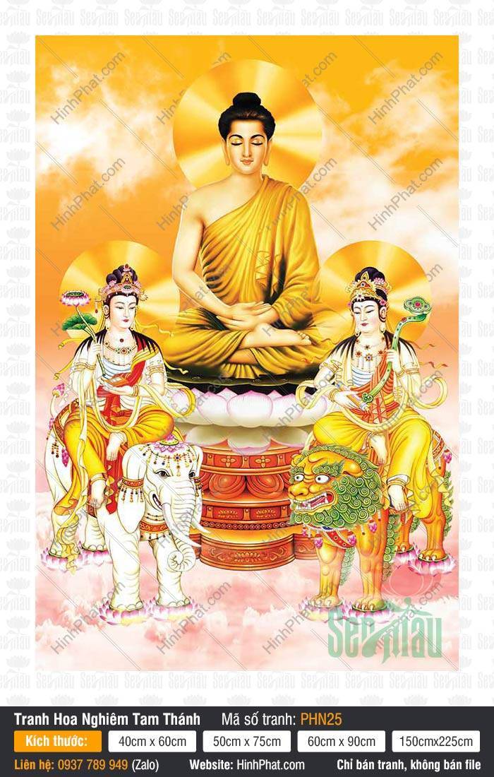 Hoa Nghiêm Tam Thánh PHN25 Tranh Hoa Nghiêm Tam Thánh PHN25 tỏa hào quang rực rỡ trên nền vàng cam ấm áp