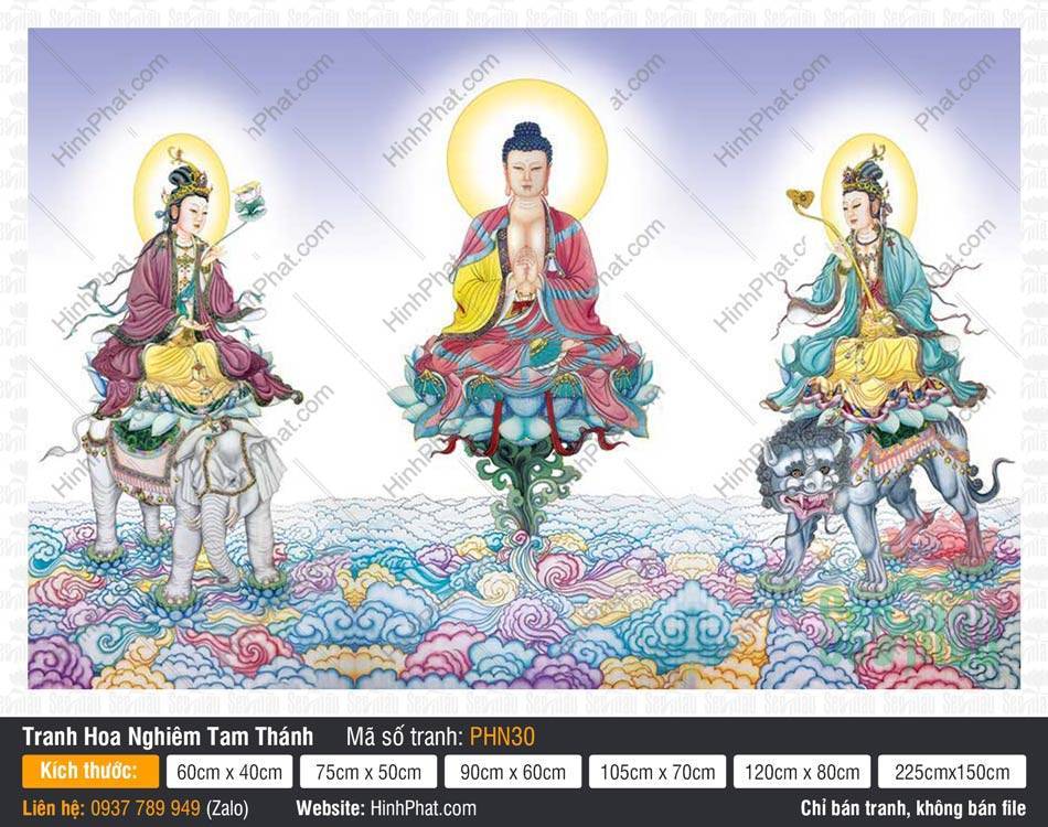 Tranh Hoa Nghiêm Tam Thánh PHN30 Tranh Hoa Nghiêm Tam Thánh PHN30 ngự đài sen xanh trên biển mây ngũ sắc tuyệt đẹp
