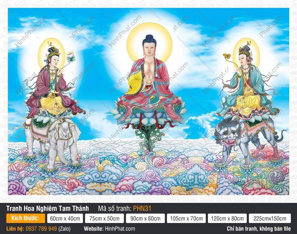 Tranh Hoa Nghiêm Tam Thánh đẹp PHN31 Tranh Hoa Nghiêm Tam Thánh đẹp PHN31 ngự linh thú trên nền mây ngũ sắc