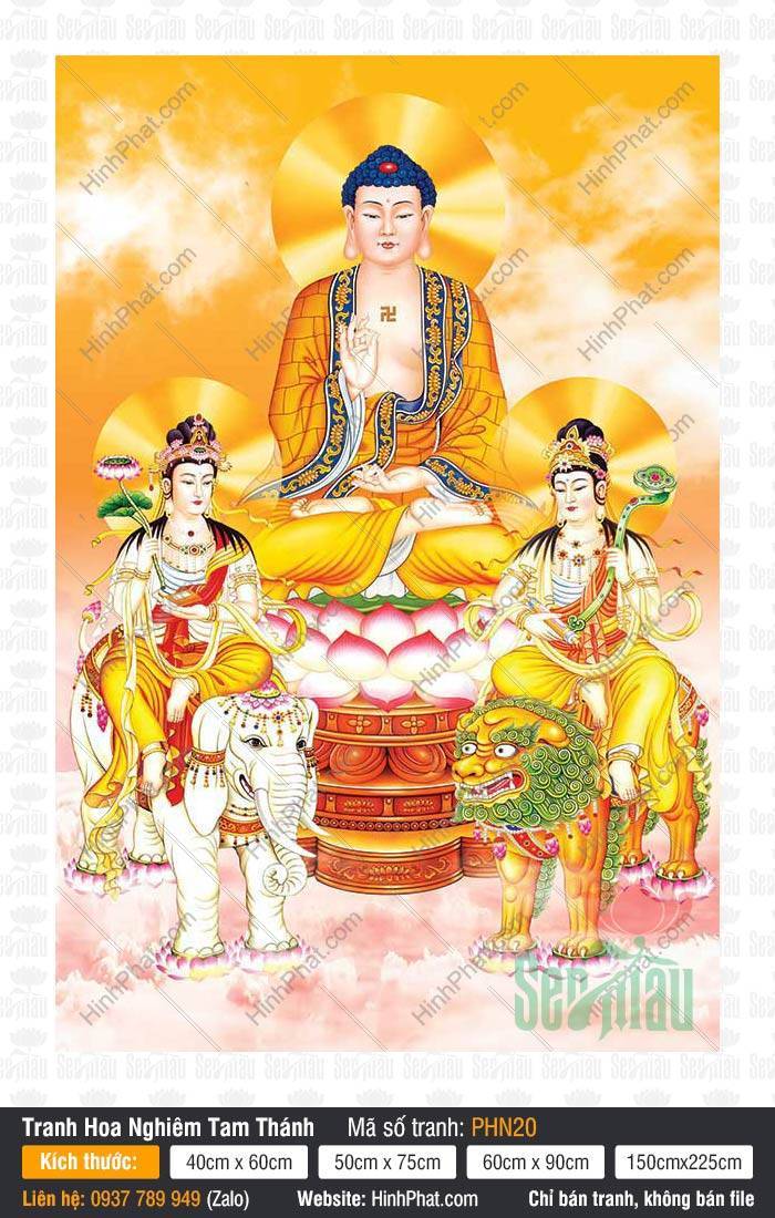 Tranh Hoa Nghiêm Tam Thánh đẹp nhất PHN20 Tranh Hoa Nghiêm Tam Thánh đẹp nhất PHN20 sắc nét tỏa hào quang