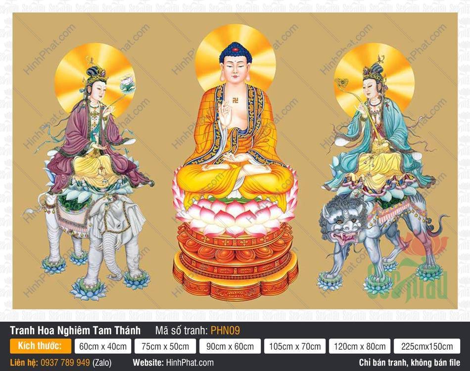 Tranh Hoa Nghiêm Tam Thánh kích thước lớn PHN09 Tranh Hoa Nghiêm Tam Thánh kích thước lớn PHN09 sắc y bào tím xanh nổi bật