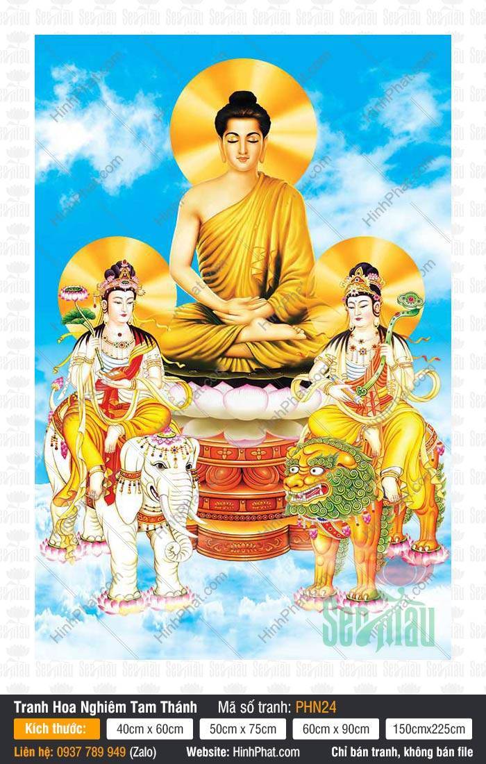 Tranh Thích Ca Tam Thánh PHN24 Tranh Thích Ca Tam Thánh PHN24 họa hình Đức Phật đắp y hở vai ấn thiền