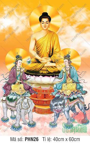 Hình Hoa Nghiêm Tam Thánh PHN26, ánh hào quang rực rỡ